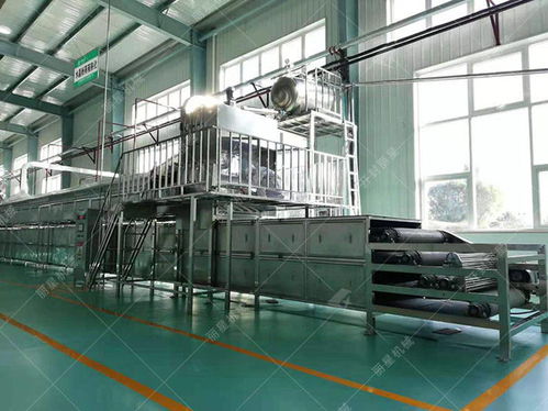 新手開辦一個粉條加工廠需要做什么準備 投入多少